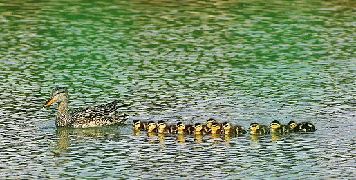 Steam夏促正式开启 《33号远征队》等数百款游戏史低